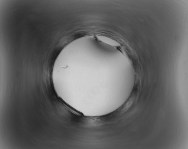 X0000086910333200705141707