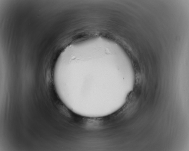 X0000086910335200705141707