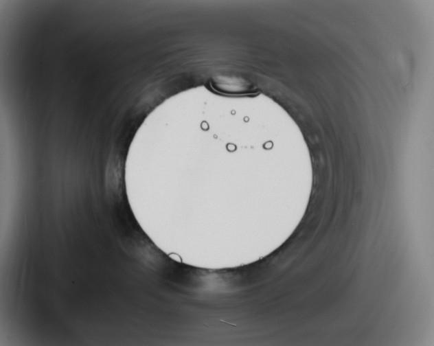 X0000086910336200705141707