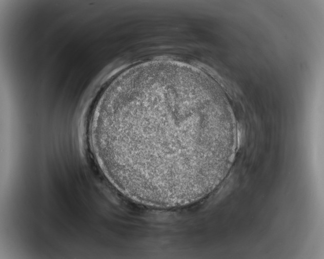 X0000086910339200705141707