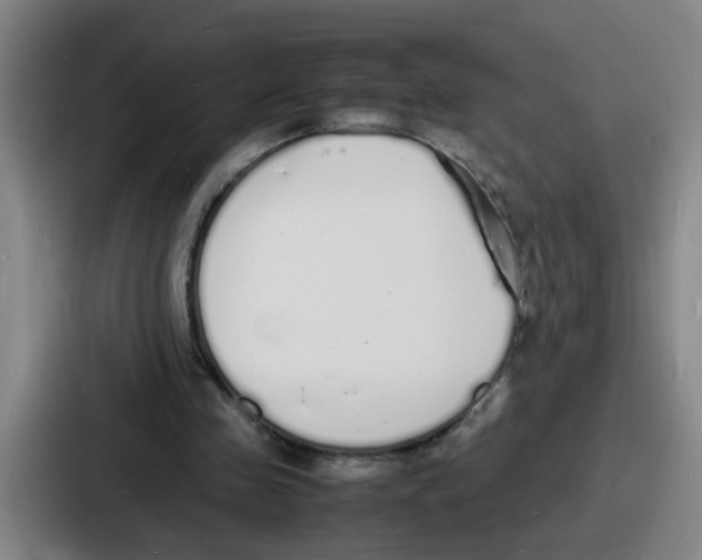 X0000086910341200705141707