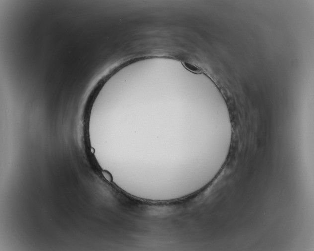 X0000086910342200705141707