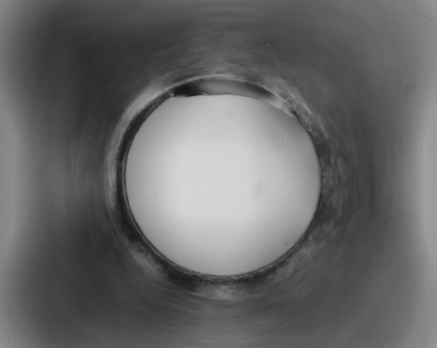 X0000086910344200705141707