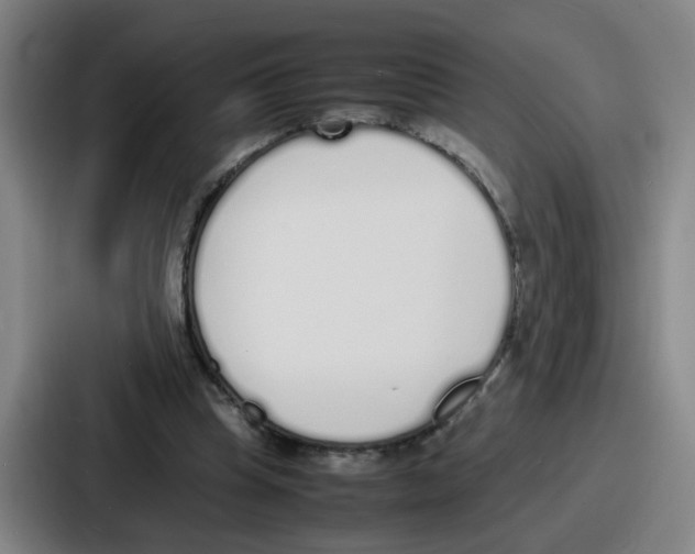 X0000086910345200705141707