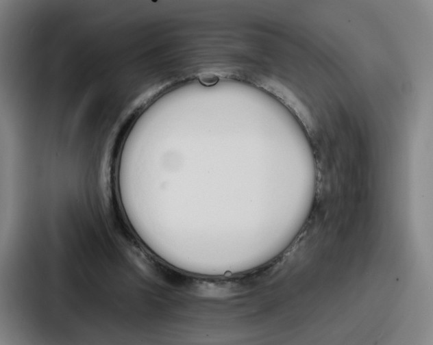 X0000086910346200705141707