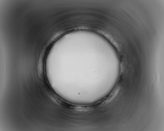 X0000086910347200705141707