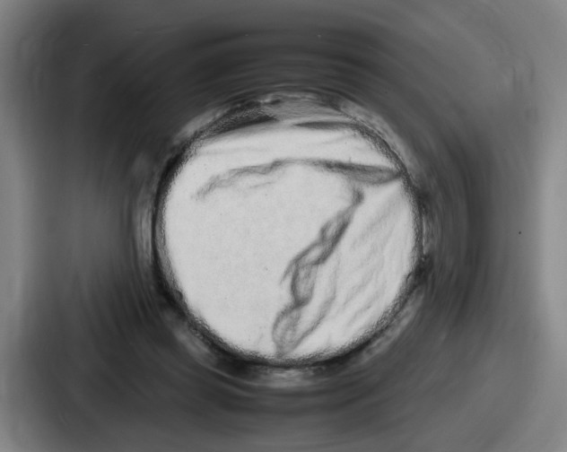 X0000086910349200705141707