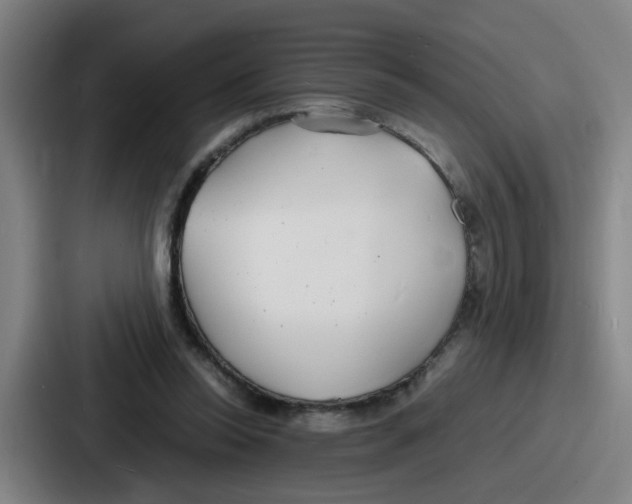 X0000086910350200705141707