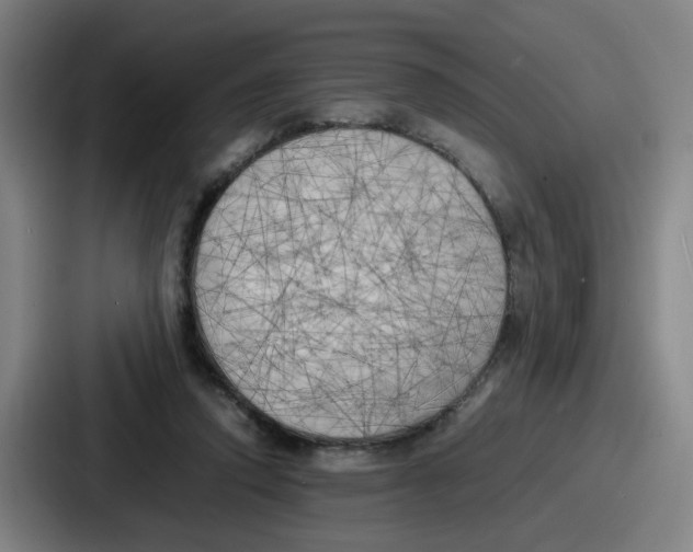 X0000086910354200705141707