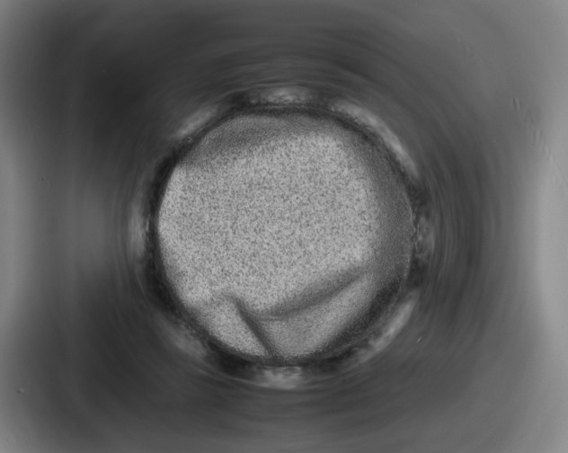 X0000086910355200705141707