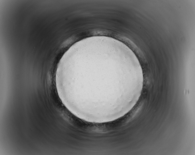 X0000086910357200705141707