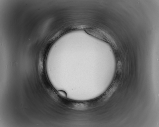 X0000086910358200705141707