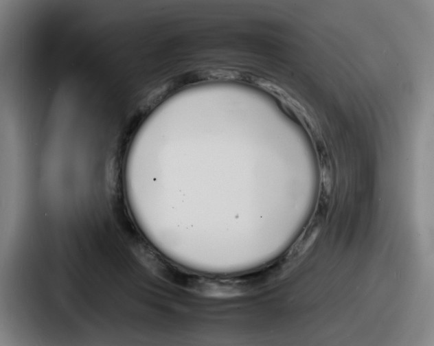 X0000086910359200705141707