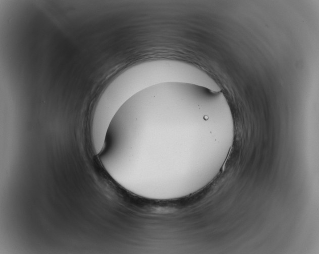 X0000086910360200705141707