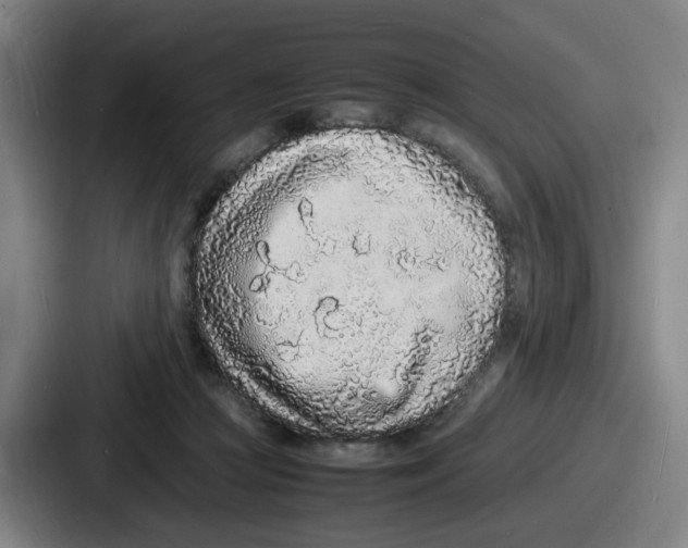 X0000086910361200705141707