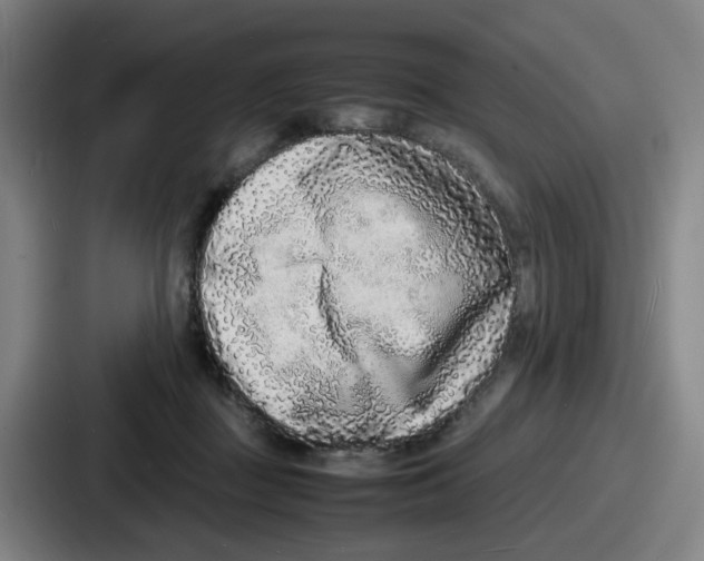 X0000086910363200705141707