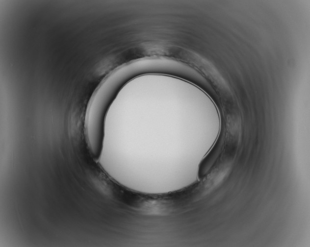 X0000086910364200705141707