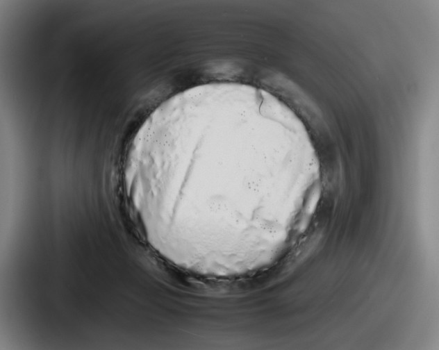 X0000086910365200705141707