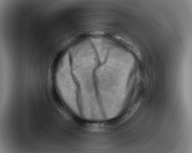 X0000086910366200705141707