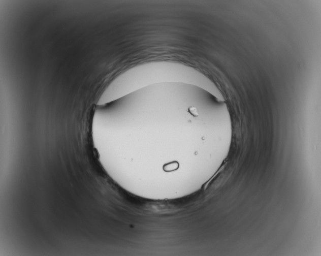 X0000086910372200705141707