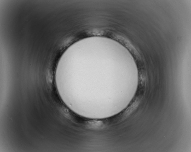 X0000086910374200705141707