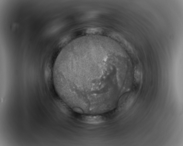 X0000086910375200705141707