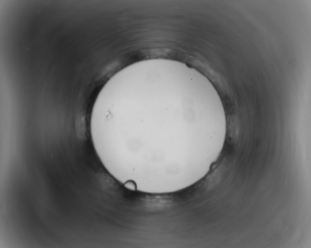 X0000086910378200705141707