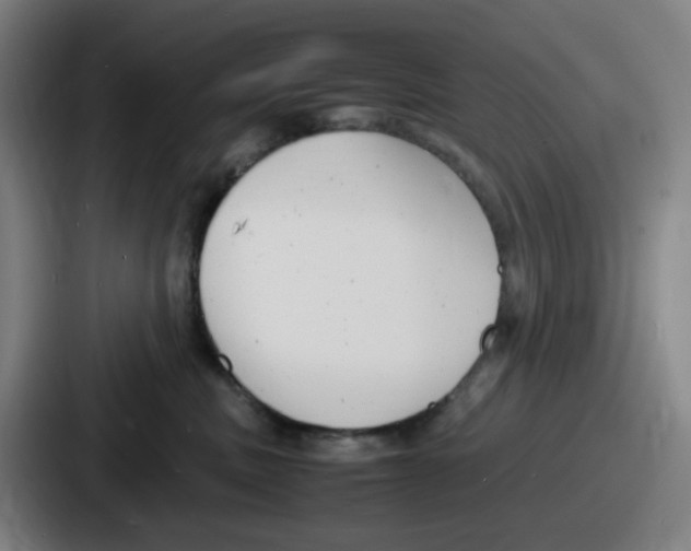 X0000086910379200705141707