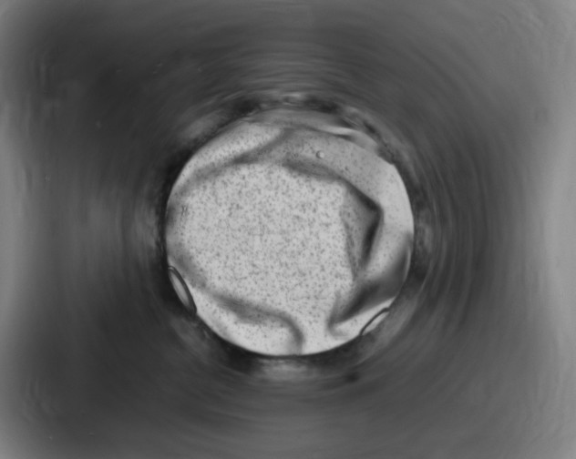 X0000086910380200705141707