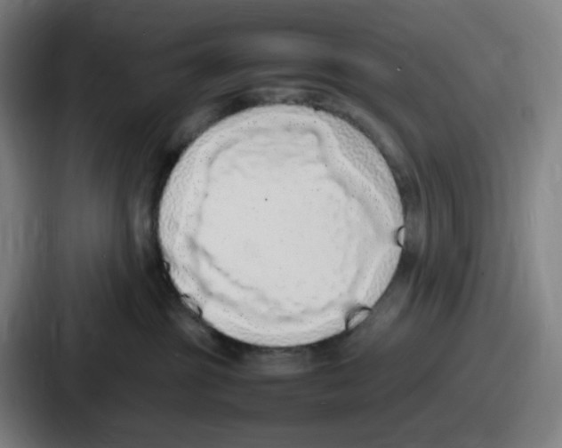 X0000086910381200705141707