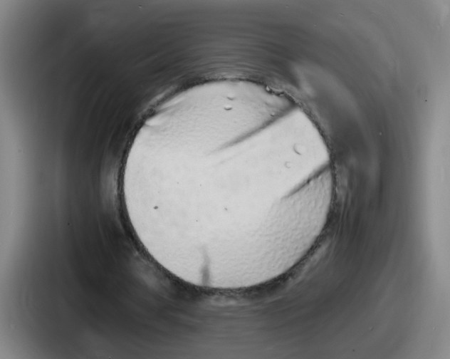 X0000086910386200705141707