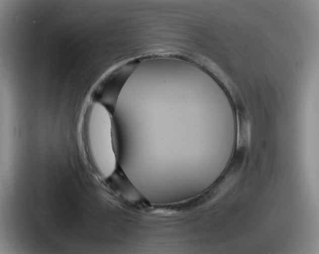 X0000086910387200705141707