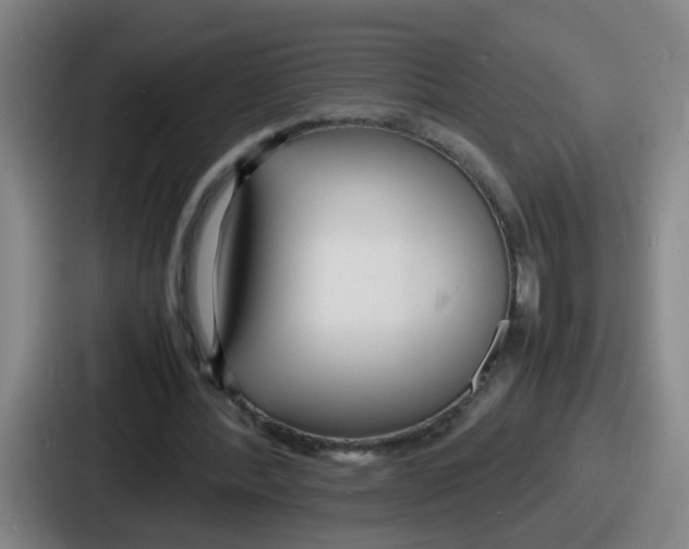 X0000086910388200705141707