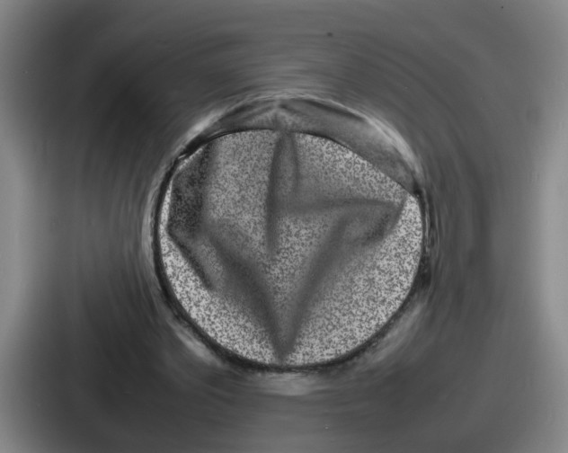 X0000086910389200705141707