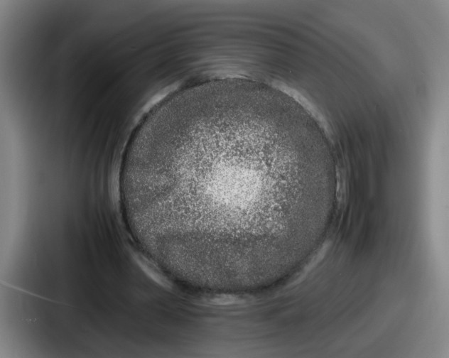 X0000086910390200705141706