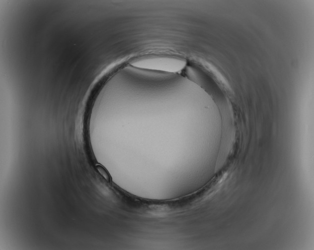 X0000086910391200705141706