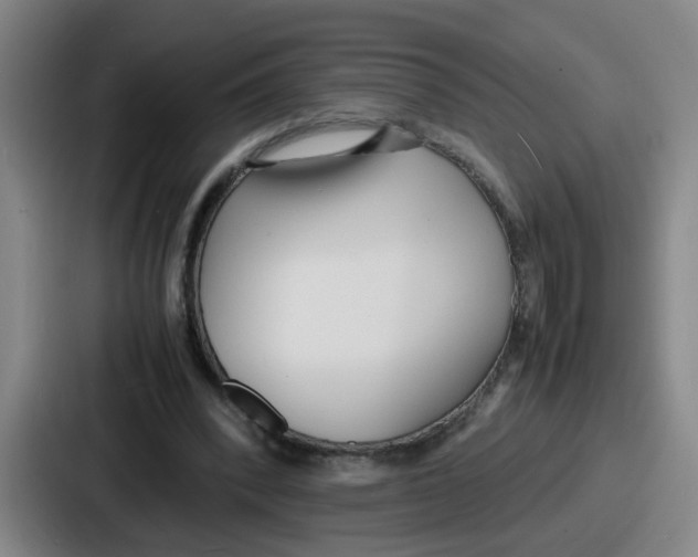 X0000086910392200705141706