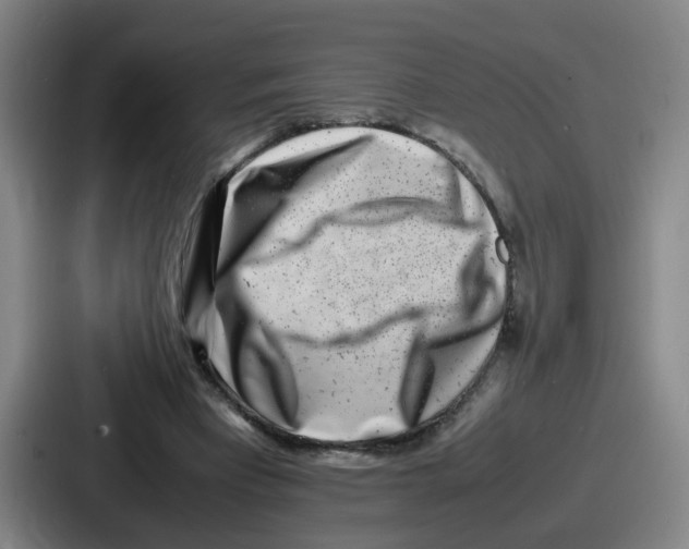 X0000086910393200705141706