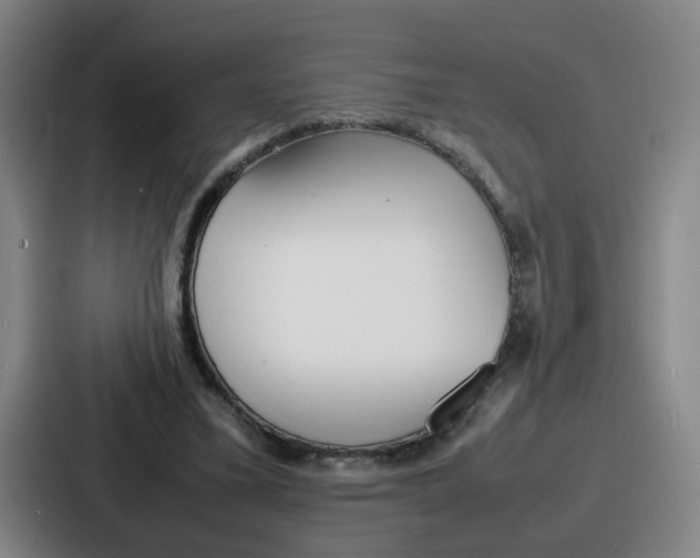 X0000086910395200705141706