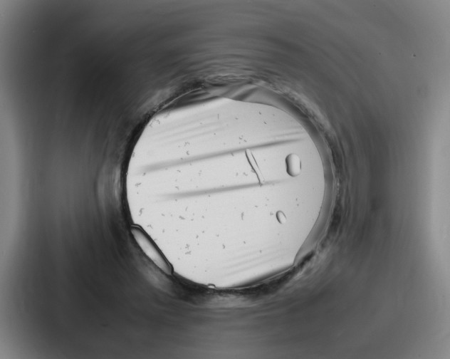 X0000086910397200705141706