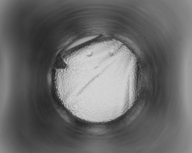 X0000086910398200705141706