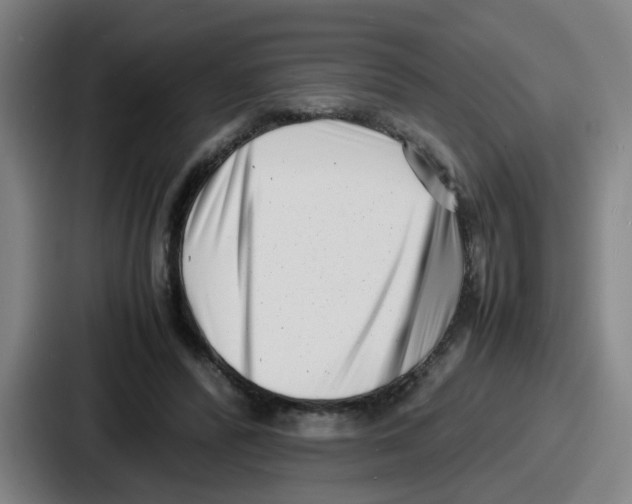 X0000086910400200705141706