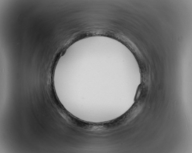 X0000086910401200705141706