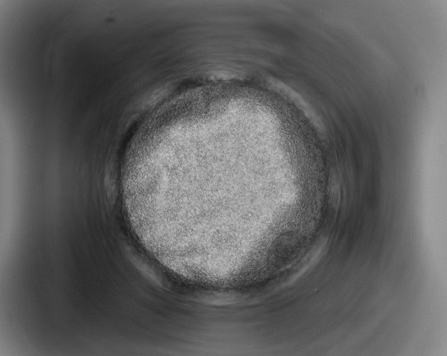 X0000086910402200705141706