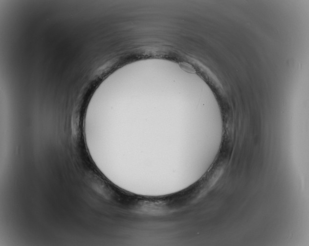 X0000086910403200705141706