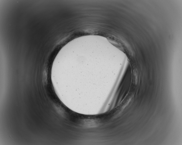 X0000086910404200705141706