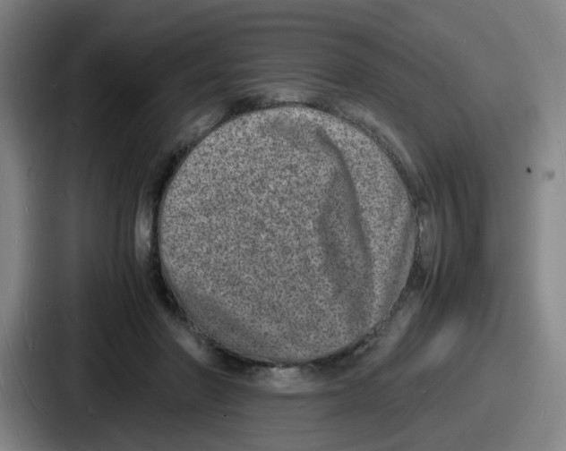 X0000086910406200705141706