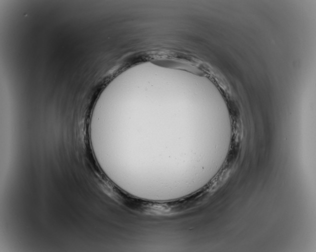 X0000086910409200705141706