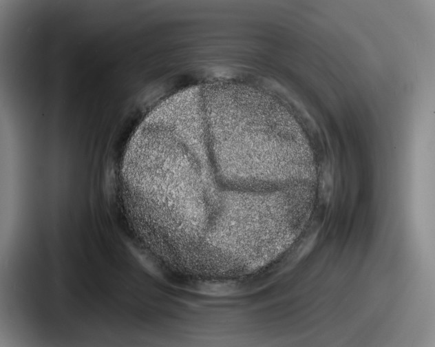 X0000086910410200705141706