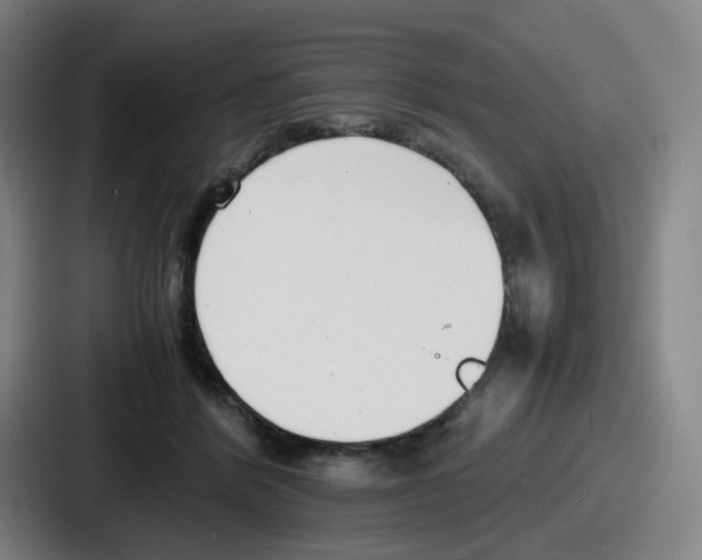 X0000086910412200705141706